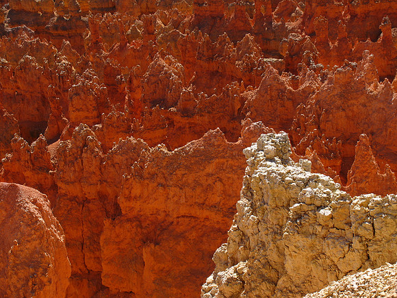 Bryce